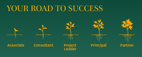 bcg road to success graphic