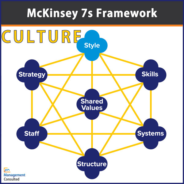 McKinsey 7s Framework-Culture