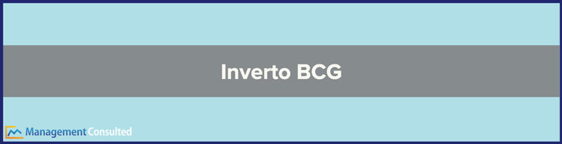 Inverto BCG, BCG Inverto, supply chain consulting