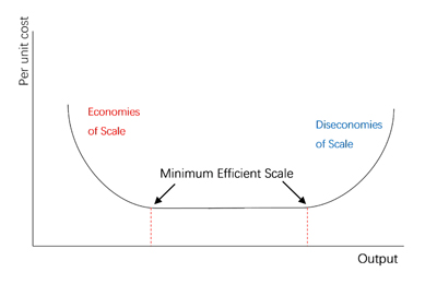 Minimum efficient scale graph