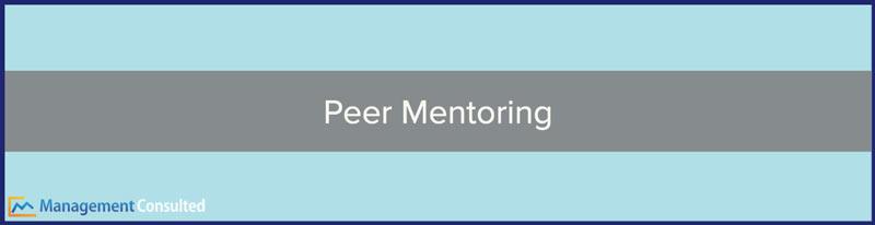 Peer Mentoring, peer mentor, rutgers peer mentor, peer mentor program, what is peer mentoring, advantages of peer mentoring, how to start a peer mentoring program, skills for peer mentoring