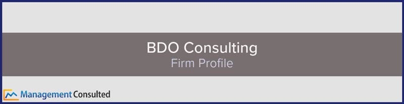 BDO Consulting image banner